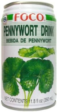 PENNYWORT DRINK 350ML FOCO